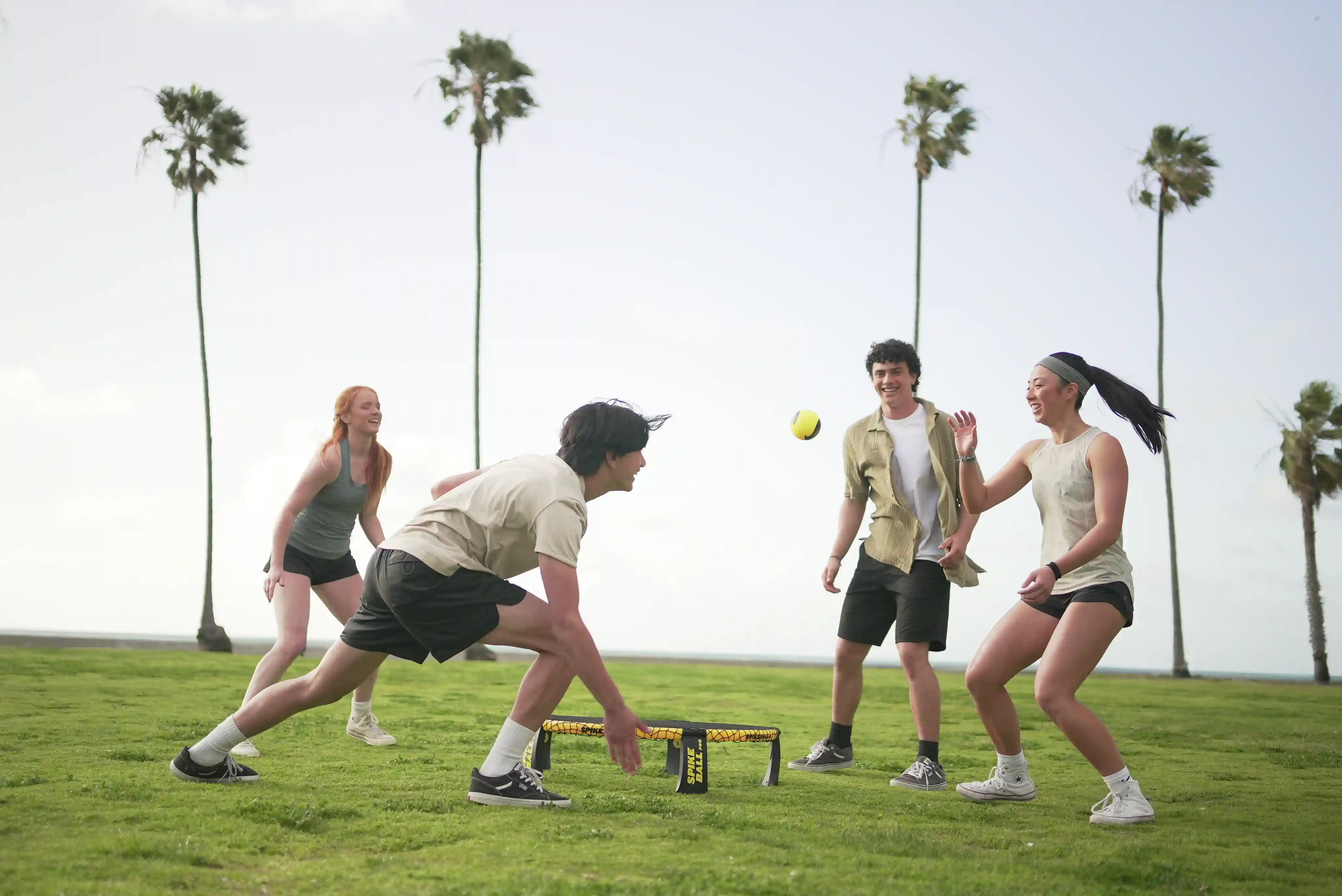 Vier Personen spielen Spikeball auf einer Wiese mit Palmen und Meerblick, gelber Ball über dem Netz