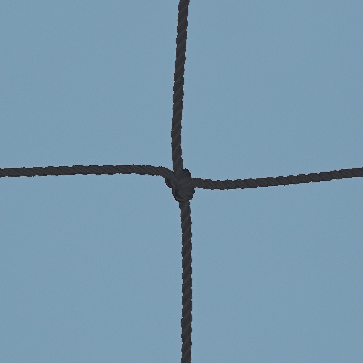 Netz aus Nylon, Maschenw. 45 mm, 1,6 mm ø schwarz aus der Kategorie konfigurierbare Artikel (nicht sichtbar)